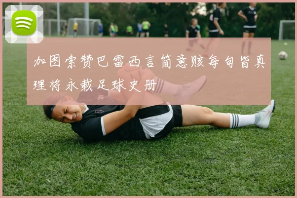 加图索赞巴雷西言简意赅每句皆真理将永载足球史册